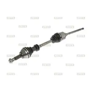 BOLK BOL-D011185