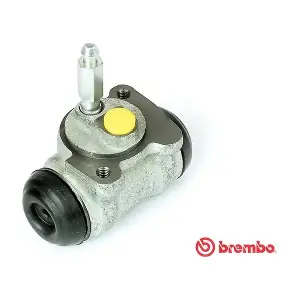 A4295 ANDEL