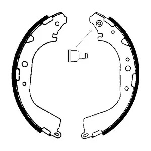A1557 ANDEL