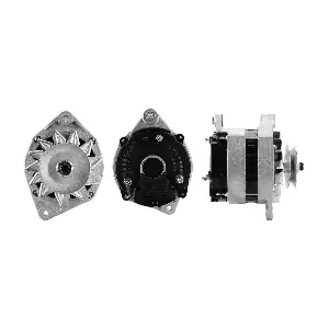 ANDEL ANM37081