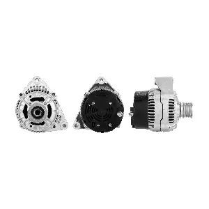 ANDEL ANM97779
