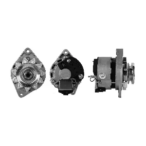 ANDEL ANM36981