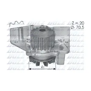 101579 ANDEL