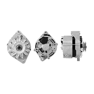 ANDEL ANM36880