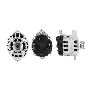 ANDEL ANM44261