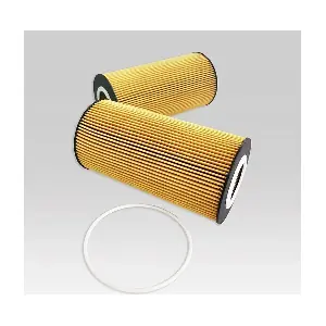 E89HD213 HENGST