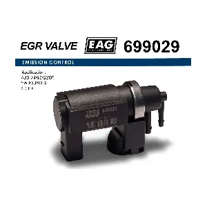 699029 EAG