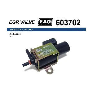 603702 EAG