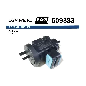 609383 EAG