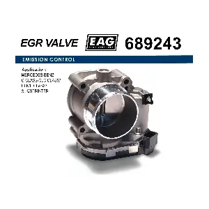 689243 EAG