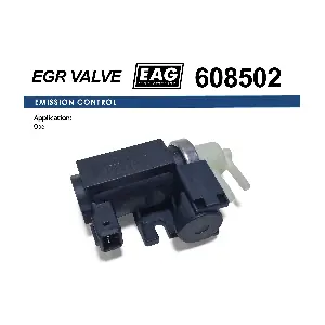 608502 EAG