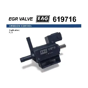 619716 EAG