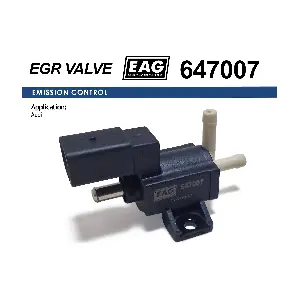 647007 EAG