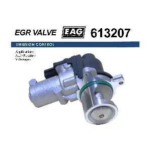 EAG 613207