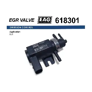 618301 EAG