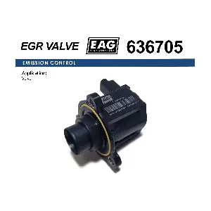 EAG 636705