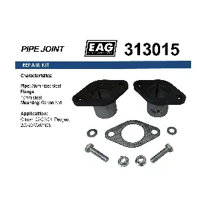313015 EAG