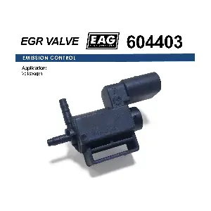604403 EAG