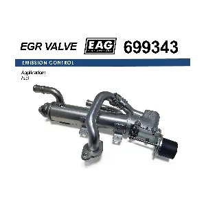 699343 EAG