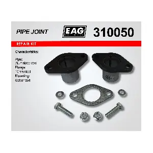 310050 EAG