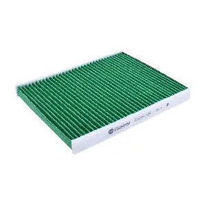 Castrol Filters CC0110C