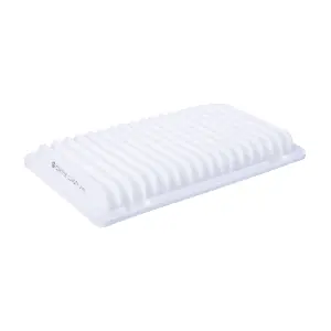 Castrol Filters CA0251