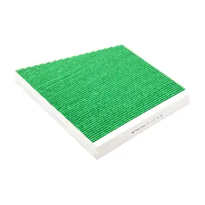 Castrol Filters CC0052