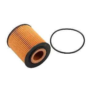Castrol Filters CO0255