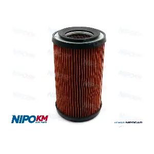 FIA.DS455 NipoKM