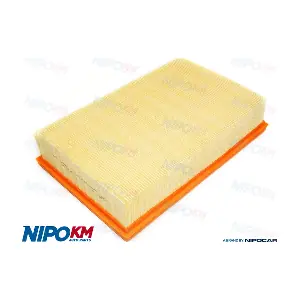 FIA.DS418 NipoKM