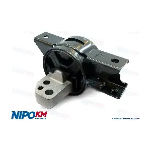 APM.KI672 NipoKM