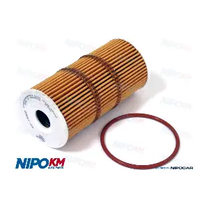 NipoKM FIO.DS477