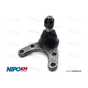RTT.MZ0021S NipoKM