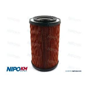 FIA.DS113 NipoKM