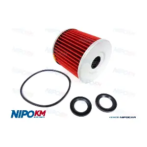 NipoKM FIO.DS055