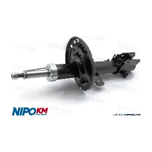 AMT.DS2401S NipoKM