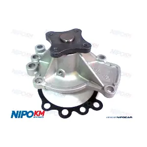 BAT.DS055S NipoKM