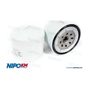 FIO.IZ101 NipoKM