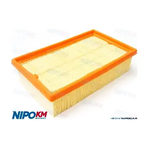 FIA.DS213 NipoKM