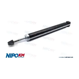 AMT.DS2323S NipoKM