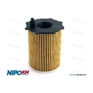 FIO.TY495 NipoKM