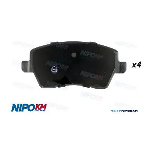 CLT.DS2497S NipoKM