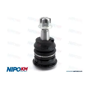 RTT.TY5575S NipoKM