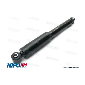 AMT.DS2290S NipoKM