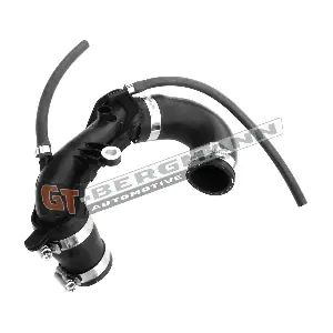 GT-BERGMANN GT52-250