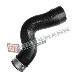 GT52-464 GT-BERGMANN