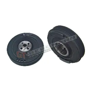 GT-BERGMANN GT50-008