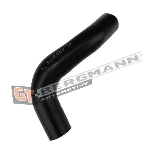GT-BERGMANN GT52-839