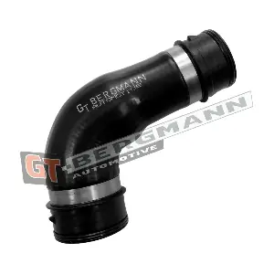 GT52-781 GT-BERGMANN