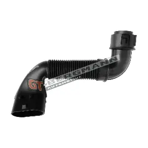 GT52-254 GT-BERGMANN